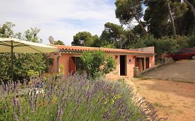 Apartments With A Parking Space Veli Losinj, Losinj - 8029