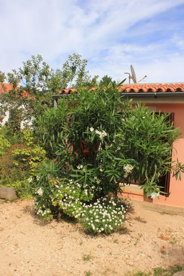 Apartments With A Parking Space Veli Losinj, Losinj - 8029 Esterno foto